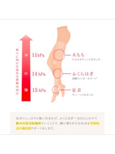 日本E-maisa 強束腰提臀收腹絲襪 (加厚260D) 黑色 (不透膚)